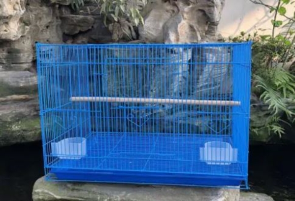Lồng chim, lồng tập lực