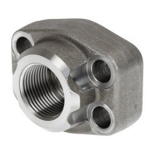 Bích ren trong BSPP