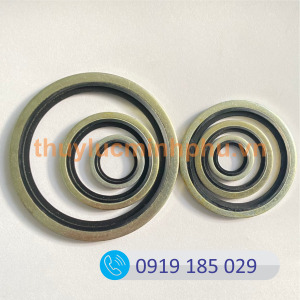 Long đền phốt thủy lực