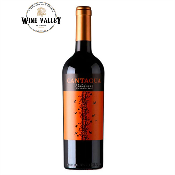 Rượu vang Cantagua Carmenere