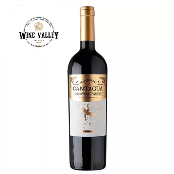 Rượu vang Cantagua Gran Reserva Cabernet Sauvignon - Rượu Wine Valley - Công Ty TNHH Đầu Tư Xuất Nhập Khẩu Wine Valley