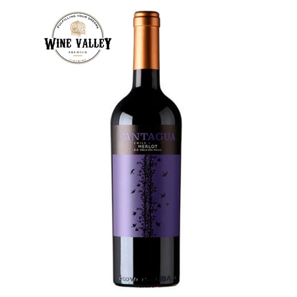 Rượu vang Cantagua Merlot - Rượu Wine Valley - Công Ty TNHH Đầu Tư Xuất Nhập Khẩu Wine Valley