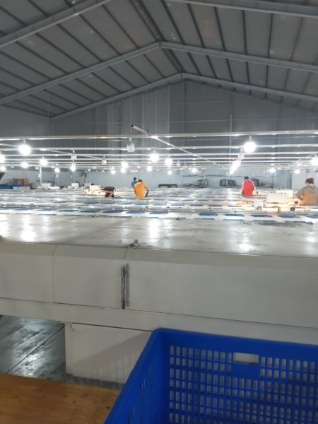Nhà máy sản xuất - Xưởng Ngân Nguyễn - Xưởng Chuyên Sỉ áo Thun Tại TPHCM
