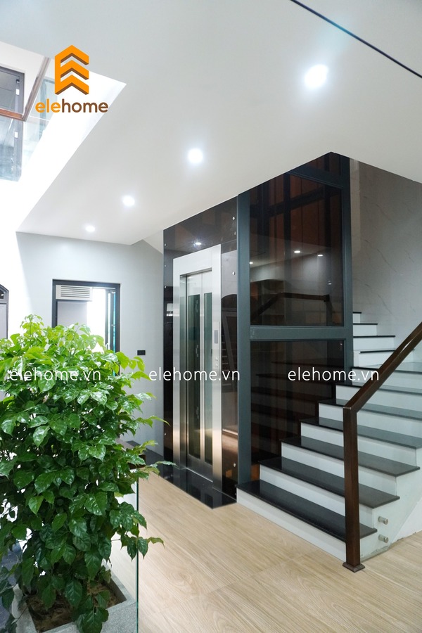 Thang máy gia đình mẫu kính trà 2 - Thang Máy ELEHOME - Công Ty TNHH ELEHOME