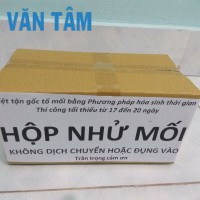 Hộp nhử mối sinh học - Diệt Mối Văn Tâm - Công Ty Diệt Mối Văn Tâm