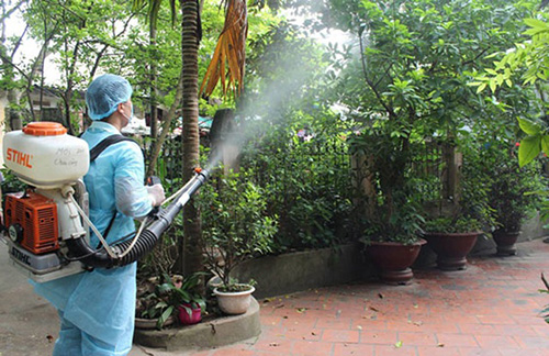 Dịch vụ diệt côn trùng - Vệ Sinh Công Nghiệp Phát Đạt - Công Ty TNHH Thương Mại Dịch Vụ Làm Sạch Phát Đạt