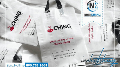 Túi nilon thời trang - Bao Bì Nhất Khang - Công Ty TNHH Sản Xuất & In ấn Bao Bì Nhất Khang