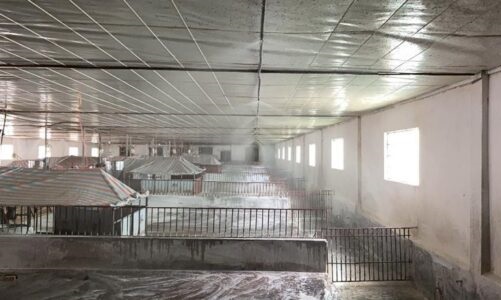 Xử lý mùi trại heo Công ty CP - Công Ty TNHH Kỹ Thuật Công Nghệ ý Tưởng Xanh