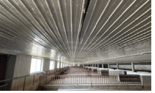 Xử lý mùi trại heo Việt Đức - Công Ty TNHH Kỹ Thuật Công Nghệ ý Tưởng Xanh