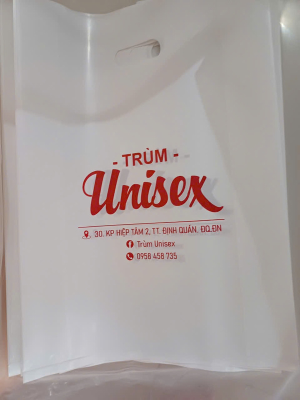 In túi xoài