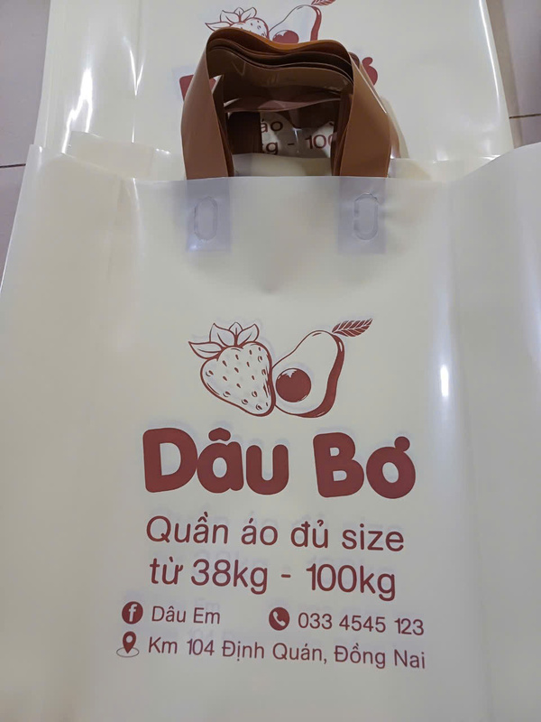 In túi xoài