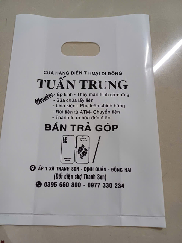 In túi xoài