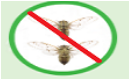 Diệt muỗi - Công Ty TNHH Một Thành Viên Diệt Mối Và Diệt Côn Trùng Tân Nguyên
