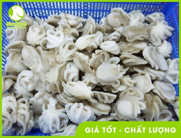 Bạch tuộc baby - New Fresh - Thực Phẩm Nhập Khẩu New Fresh Foods - Công Ty TNHH New Fresh Foods