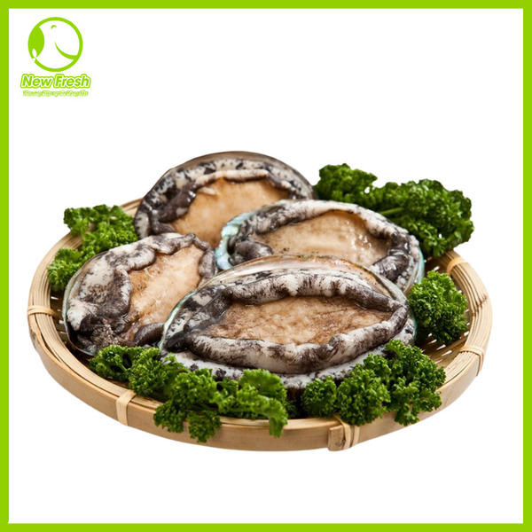 Bào ngư - New Fresh - Thực Phẩm Nhập Khẩu New Fresh Foods - Công Ty TNHH New Fresh Foods