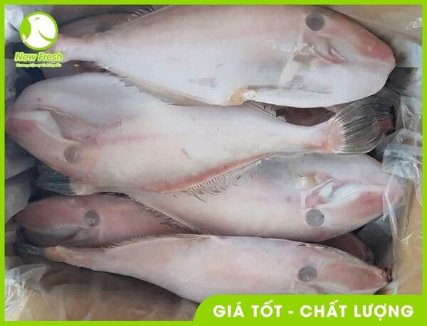 Cá bò da nguyên con xuất khẩu - New Fresh - Thực Phẩm Nhập Khẩu New Fresh Foods - Công Ty TNHH New Fresh Foods