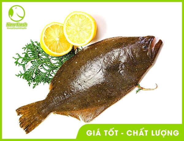Cá bơn Hàn Quốc - New Fresh - Thực Phẩm Nhập Khẩu New Fresh Foods - Công Ty TNHH New Fresh Foods