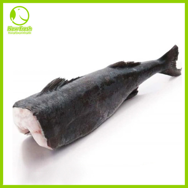 Cá tuyết - New Fresh - Thực Phẩm Nhập Khẩu New Fresh Foods - Công Ty TNHH New Fresh Foods