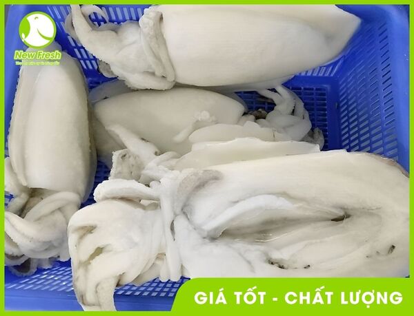 Mực nắng đông lạnh xuất khẩu - New Fresh - Thực Phẩm Nhập Khẩu New Fresh Foods - Công Ty TNHH New Fresh Foods