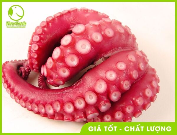 Râu bạch tuộc Nhật tako - New Fresh - Thực Phẩm Nhập Khẩu New Fresh Foods - Công Ty TNHH New Fresh Foods