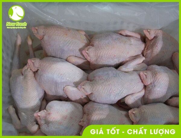 Thịt gà Mỹ nhập khẩu - New Fresh - Thực Phẩm Nhập Khẩu New Fresh Foods - Công Ty TNHH New Fresh Foods