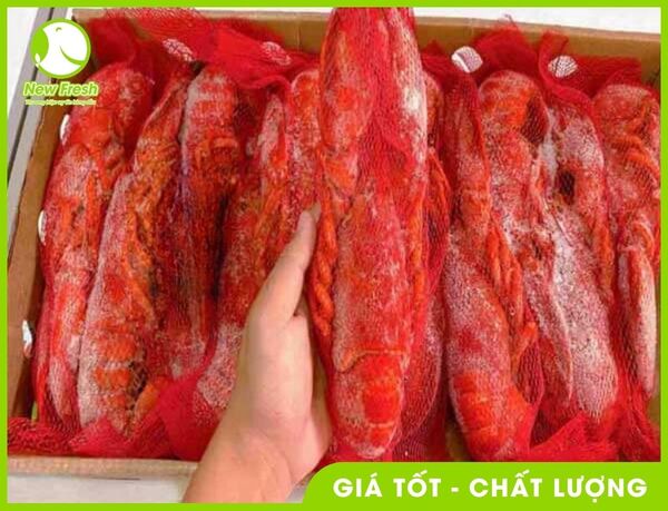 Tôm hùm Alaska hấp đông lạnh - New Fresh - Thực Phẩm Nhập Khẩu New Fresh Foods - Công Ty TNHH New Fresh Foods