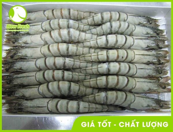 Tôm sú sinh thái nguyên con - New Fresh - Thực Phẩm Nhập Khẩu New Fresh Foods - Công Ty TNHH New Fresh Foods
