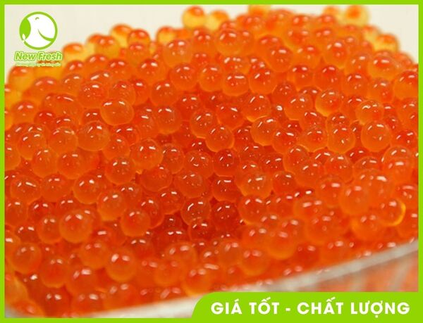 Trứng cá hồi Nauy - New Fresh - Thực Phẩm Nhập Khẩu New Fresh Foods - Công Ty TNHH New Fresh Foods
