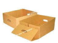 Thùng Carton Minh Anh – Công Ty TNHH SX & TM Bao Bì Minh Anh
