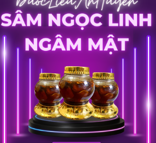 Sâm Ngọc Linh ngâm mật - Công Ty TNHH Một Thành Viên Xuất Nhập Khẩu Dược Liệu Ân Huyền