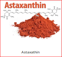 Astaxathin - Nguyên Liệu Mỹ Phẩm Đức Hiếu - Công Ty CP Quốc Tế Đức Hiếu
