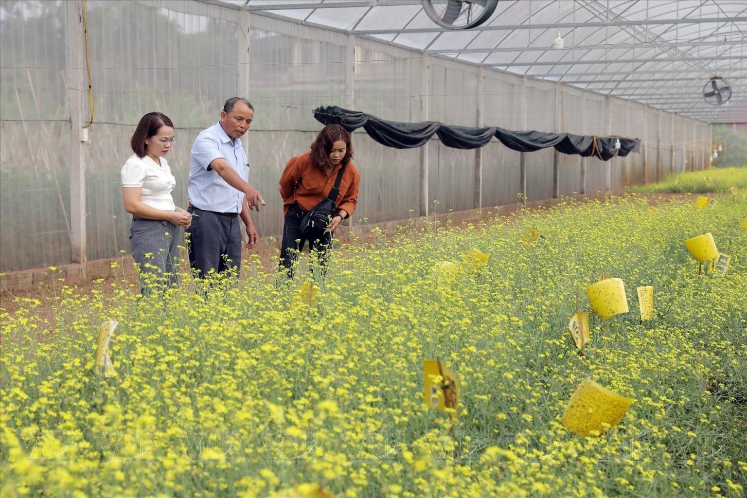 Hình ảnh công ty - HNH Foodfarm - Công Ty TNHH Nông Trại Thực Phẩm HNH