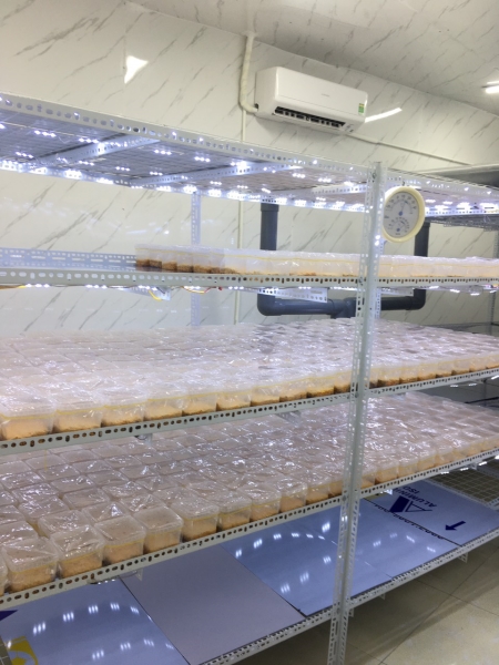 Hình ảnh công ty ECO