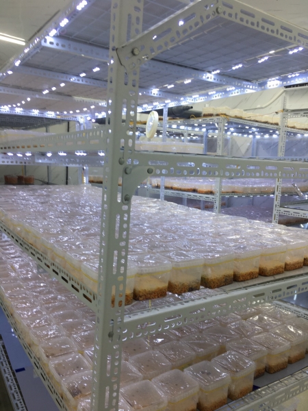 Hình ảnh công ty ECO