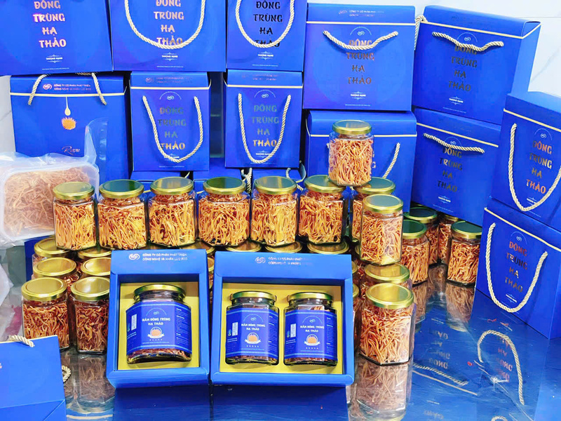 Nấm đông trùng hạ thảo đóng hộp