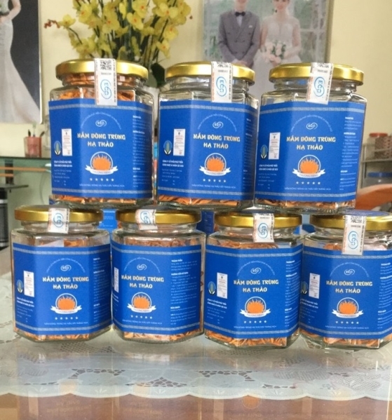 Nấm đông trùng hạ thảo đóng hộp