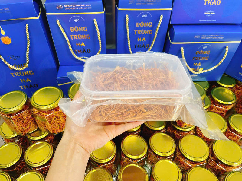 Nấm đông trùng hạ thảo đóng hộp