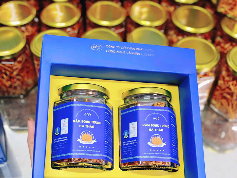 Nấm đông trùng hạ thảo đóng hộp