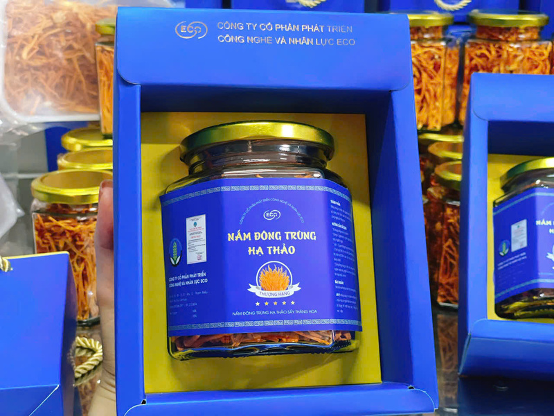 Nấm đông trùng hạ thảo đóng hộp