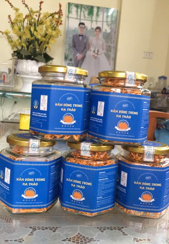Nấm đông trùng hạ thảo đóng hộp