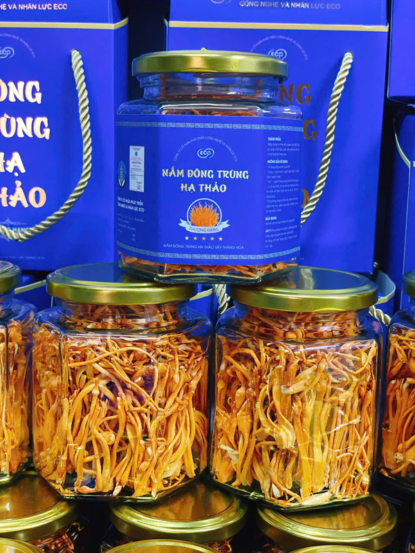 Nấm đông trùng hạ thảo đóng hộp
