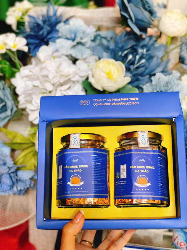 Nấm đông trùng hạ thảo đóng hộp
