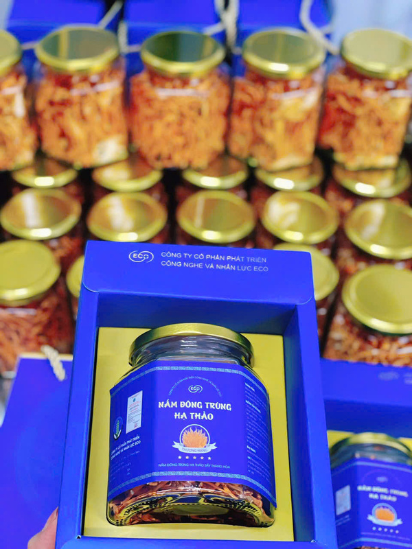 Nấm đông trùng hạ thảo đóng hộp