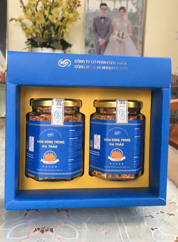 Nấm đông trùng hạ thảo đóng hộp