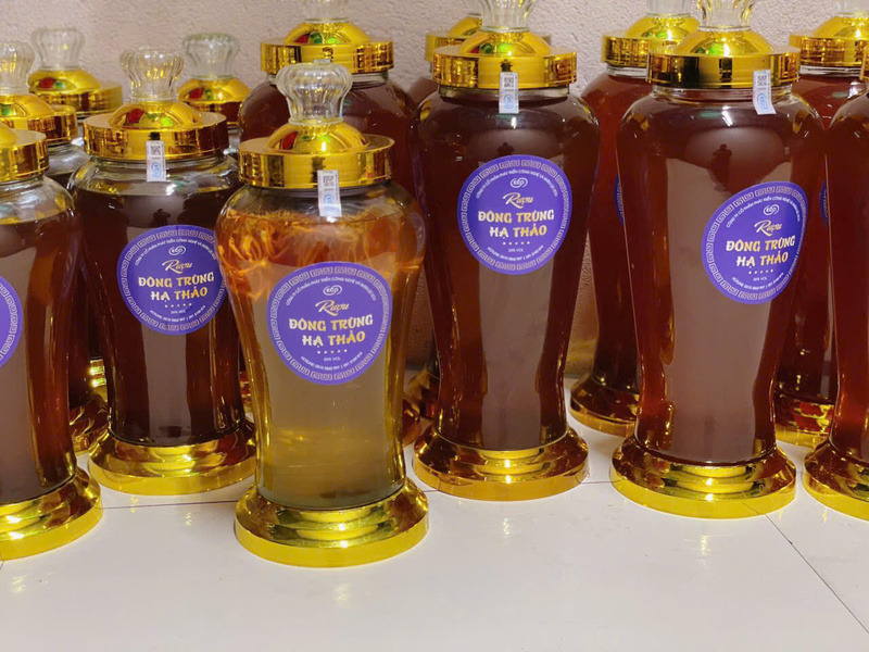 Rượu đông trùng hạ thảo