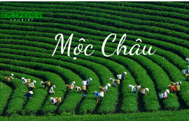 Tour du lịch - Công Ty TNHH Công Nghệ Du Lịch Hồng Vinh