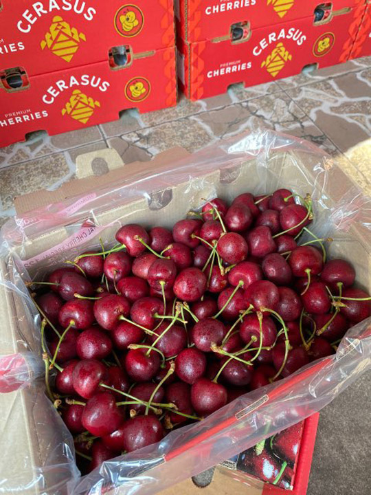 Cherry Chile - Phúc Lộc Thọ Fruits - Công Ty TNHH Hoa Quả Phúc Lộc Thọ