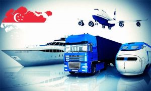 Dịch vụ vận chuyển Singapore Việt Nam - Công Ty TNHH Xuất Nhập Khẩu Logistics SK