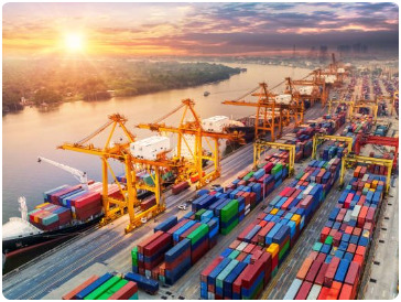 Phiên dịch chuyên ngành Logistic