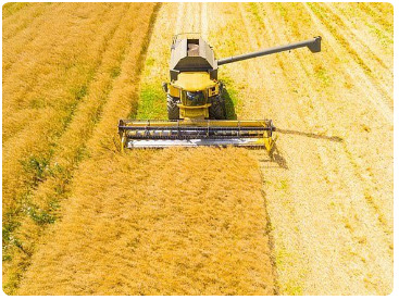 Phiên dịch chuyên ngành nông nghiệp